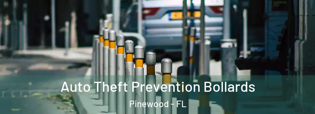  Auto Theft Prevention Bollards Pinewood - FL