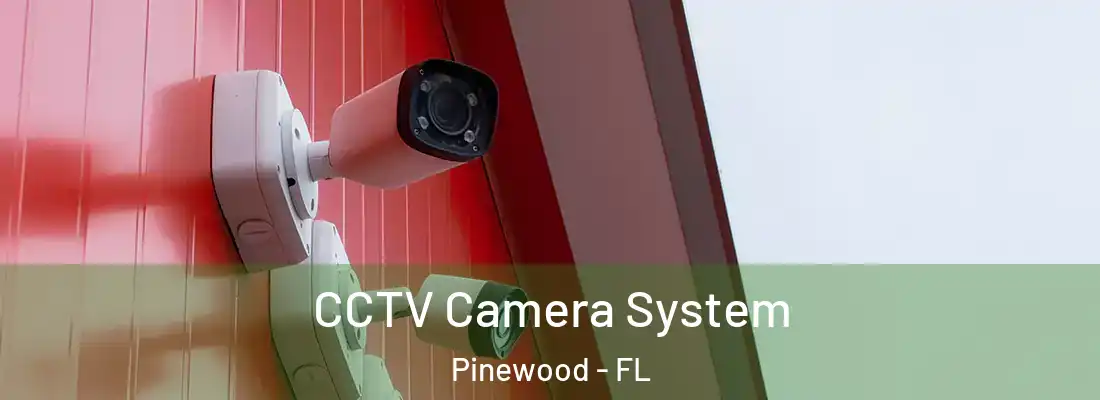  CCTV Camera System Pinewood - FL