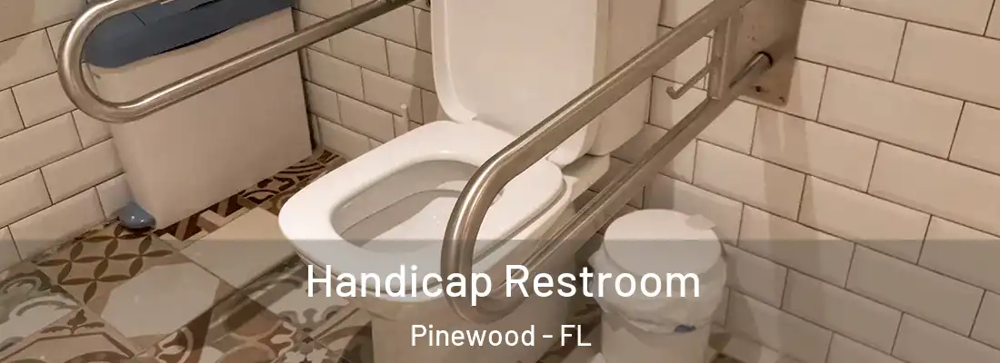  Handicap Restroom Pinewood - FL