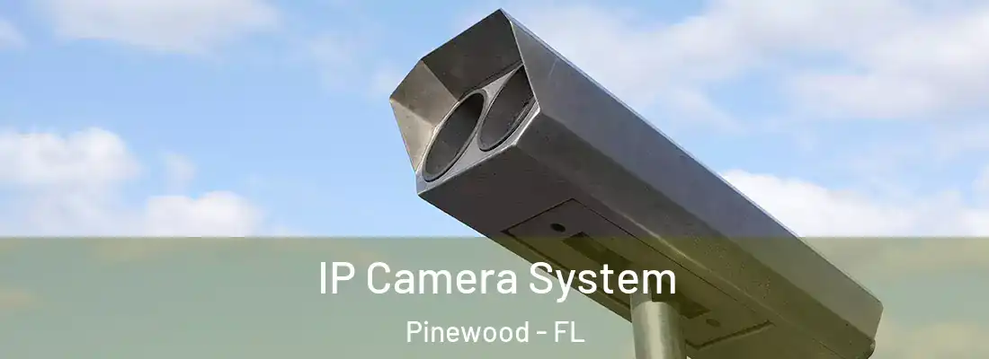  IP Camera System Pinewood - FL