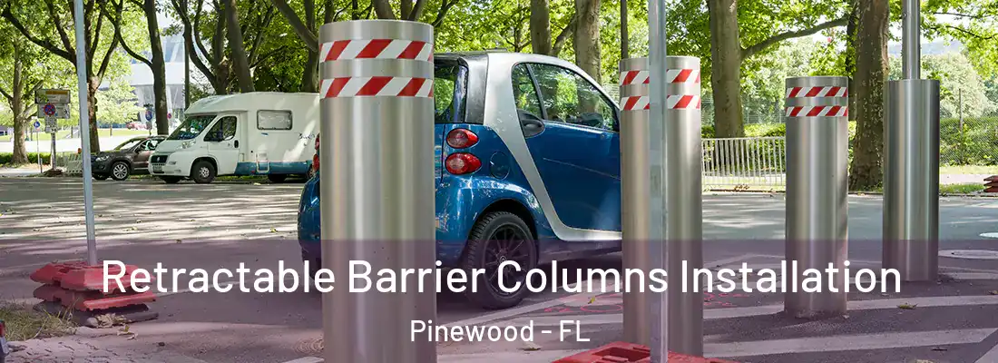  Retractable Barrier Columns Installation Pinewood - FL