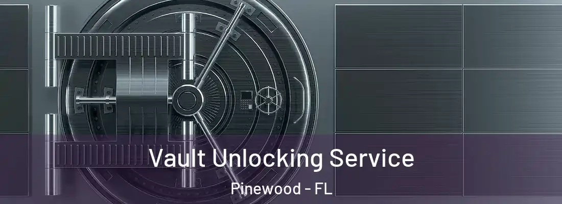  Vault Unlocking Service Pinewood - FL
